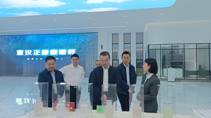 省科技廳巡視員王建偉赴宣漢縣調研科技創新工作，重點關注有機稻谷種植研發
