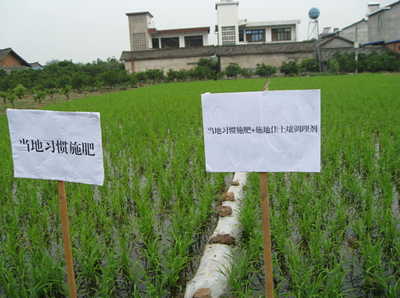施地佳 突破傳統，以創新科技引領有機稻谷種植與土壤改良新篇章